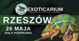 II edycja Targów Terrarystycznych "Exoticarium" w Rzeszowie  