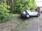 Nowe Chechło: Pijany kierowca wpadł do rowu i uderzył w drzewo. Jego samochód został doszczętnie zniszczony