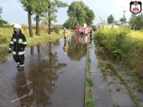 Ulewa w Wieluniu i okolicy 16.08. Straż interweniuje do połamanych drzew i zalanych ulic