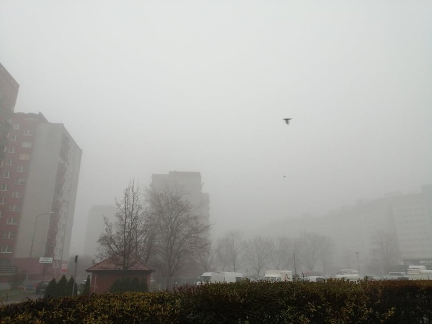 W porannej mgle Wrocław wygląda tajemniczo. Zobaczcie zdjęcia! (14.12.)