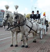 Parada konna na Piotrkowskiej