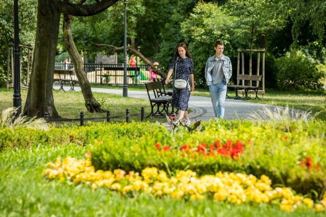 Bydgoszcz od lat pojawia się wysoko w rankingach miast bogatych w zieleń