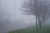 Mgła w Inowrocławiu [zdjęcia]