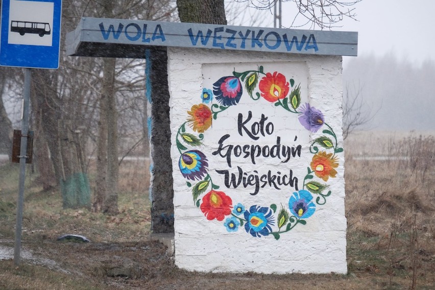 Malowane przystanki w gminie Sędziejowice ZDJĘCIA