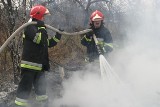 Pożar w Męcinie: 11-osobowa rodzina bez dachu nad głową