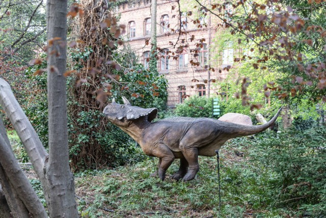 Dinozaury we Wrocławiu