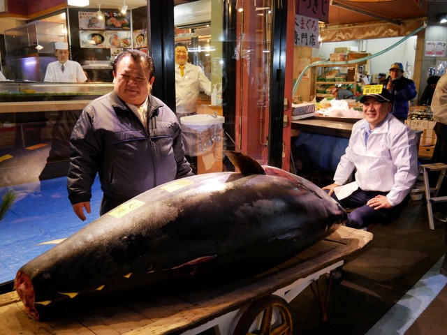 Kaliszanie z Maguro Sushi Bar na noworocznej aukcji tuńczyka w Japonii