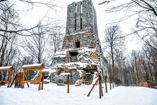 Jest to druga pod względem wieku budowla w Zielonym Lesie w Żarach, upamiętniająca niemieckiego kanclerza Otto von Bismarcka i należy do jednych z nielicznych tego typu obiektów w Polsce.