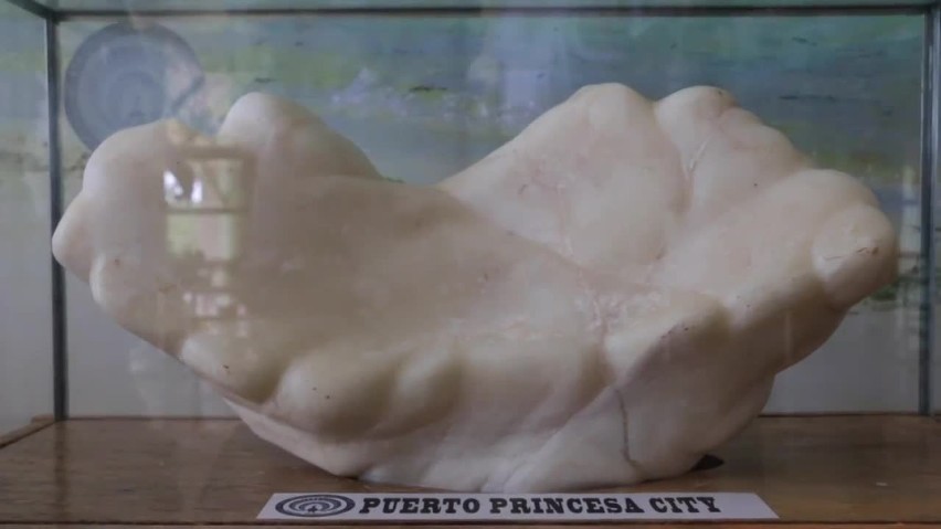 Filipiński rybak wyłowił perłę ważącą 34 kilogramy. Jest warta 100 milionów  dolarów (wideo) | Nasze Miasto