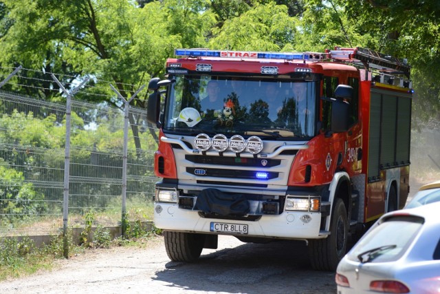 Na toruńskim poligonie wybuchł wielki pożar. Toruńska straż ściągała posiłki z Inowrocławia i Bydgoszczy. 

Zobacz także: Weekend w Toruniu. Najnowsze zdjęcia z imprez w Bajka Disco Club w Toruniu [GALERIA, ZDJĘCIA]
-&nbsp;Na toruńskim poligonie płonął las. W akcji brało udział 22 zastępy straży pożarnej z czterech powiatów - mówi Arkadiusz Piętak, rzecznik komendy wojewódzkiej PSP. - Łącznie spłonęło ok. 10 ha lasu i poszycia.   

Zobacz także: Strzelanina na Bydgoskim Przedmieściu. Wojny gangów ze środowiska kiboli? W piątek rusza proces [ZDJĘCIA + WIDEO]



Wielki pożar na toruńskim poligonie. Straż ściągała posiłki z regionu! [ZDJĘCIA]