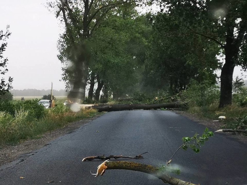 Choć wiatr wiał przez kilkanaście minut to zdążył wyrządzić...