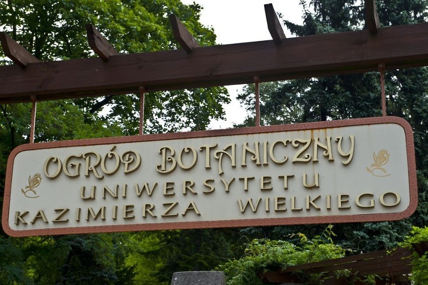"Magiczny"" Ogród Botaniczny UKW w Bydgoszczy [ZDJĘCIA]
