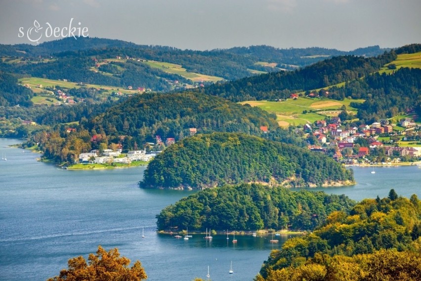 4. Powiat Nowosądecki. Liczba zgonów w kwietniu 2019 - 76,...