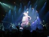 The Australian Pink Floyd zagrali w Warszawie