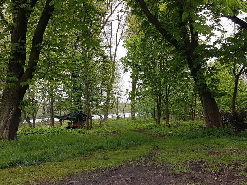 Nowe zielone miejsce dla mieszkańców. Przy ul. Światowida powstaje park