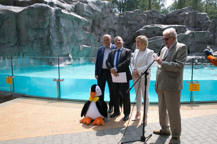 Otwarcie pingwinarium w krakowskim zoo [ZDJĘCIA]