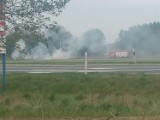 Gmina Nowy Tomyśl: Przejazd pociągu powodował pożary? [FOTO]