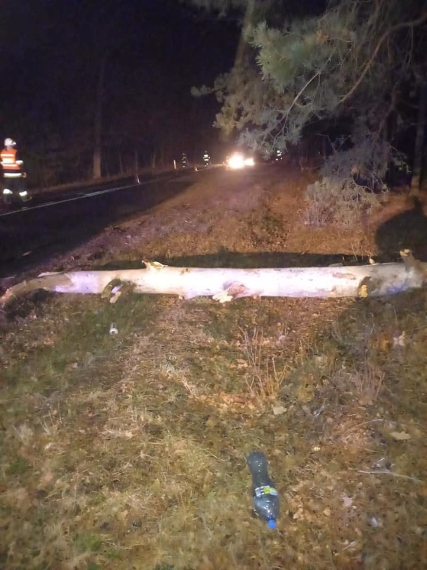 Auto rozbiło się o powalone drzewo w Goszczu. To przez silny wiatr (FOTO)