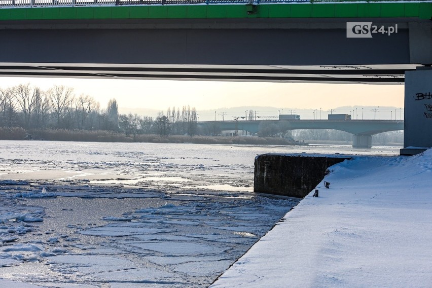 Kormorany w Szczecinie. Wyglądają beztrosko, ale grozi im...