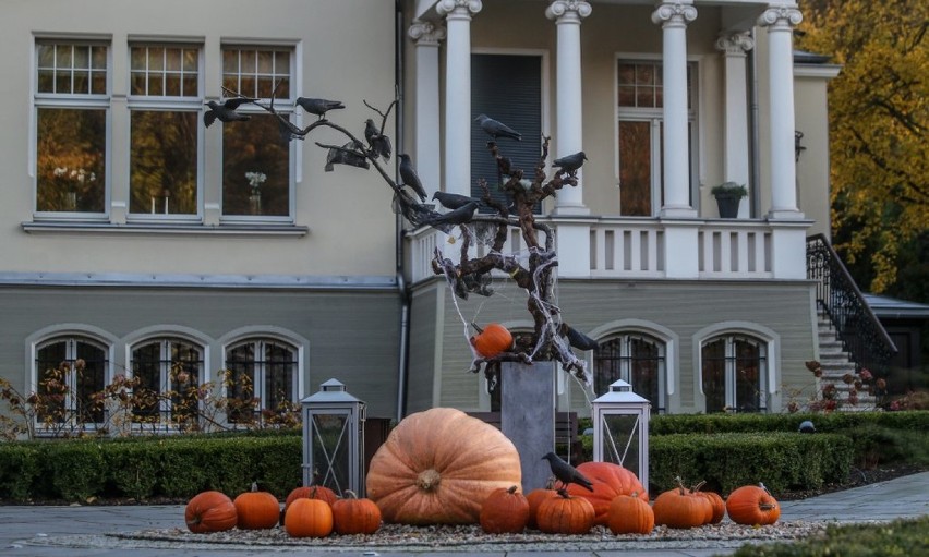 Halloween w Gdańsku. "Straszny dwór" na Jaśkowej Dolinie [ZDJĘCIA]