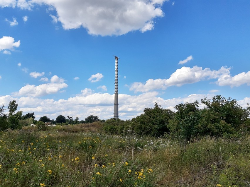 Panorama okolicy z kominem na Widziszowie