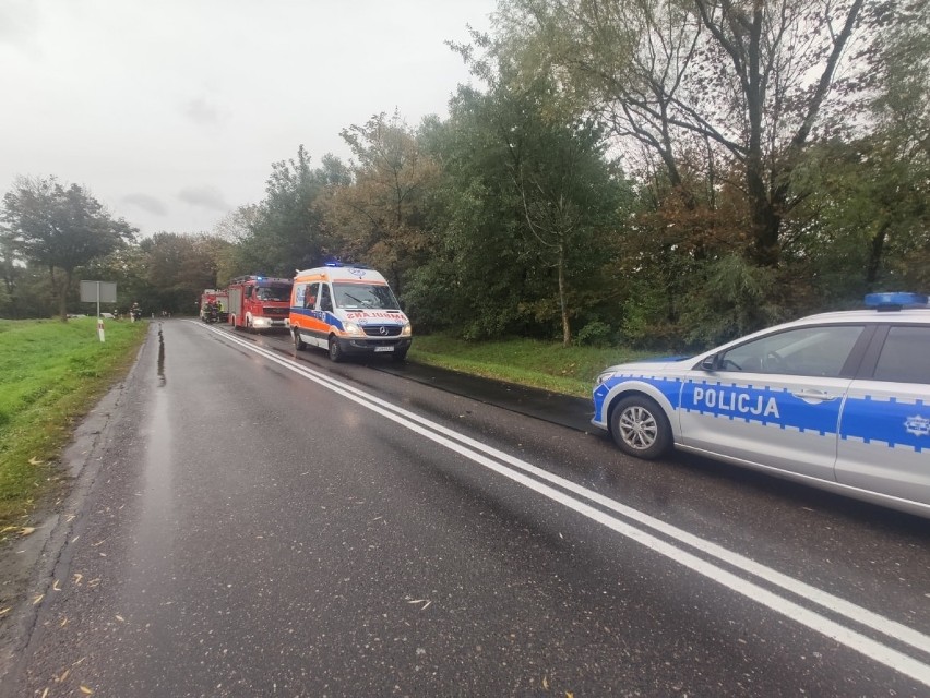 Gmina Kłecko: wypadek w Brzozogaju z udziałem jednego auta