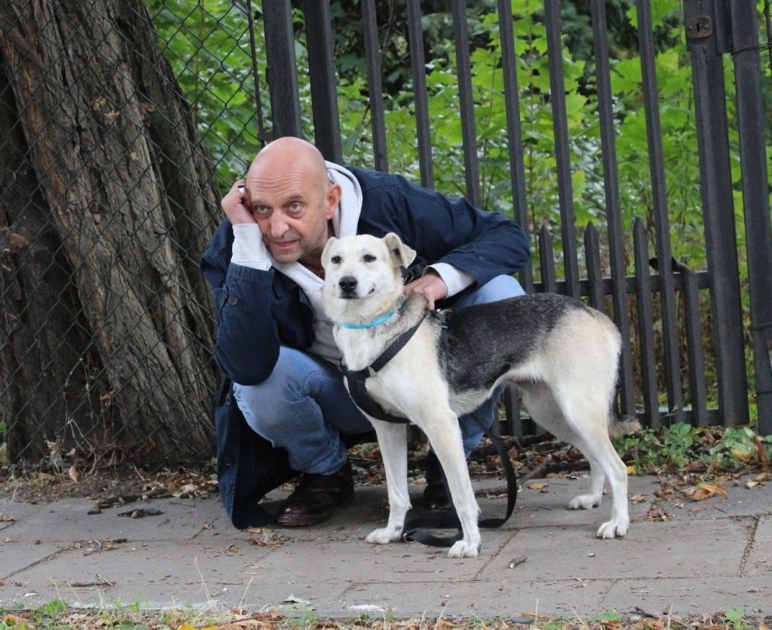 Coraz więcej łodzian adoptuje ze schroniska psich seniorów. ZDJĘCIA