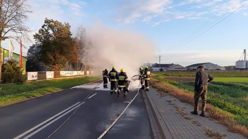 Gostyń. Pożar auta na drodze w Żychlewie. Samochód spłonął doszczętnie [ZDJĘCIA] 