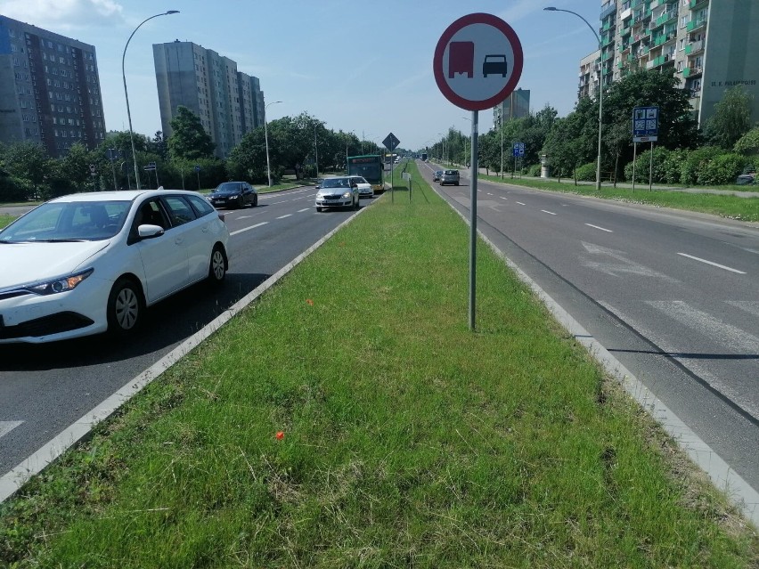 Suwałki. Będzie więcej krzewów w pasie drogowym ulicy Pułaskiego