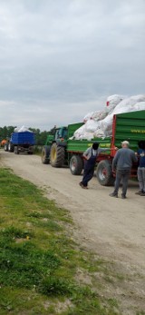 Gmina Oleśnica pozbyła się śmieci. Wywieziono około 14 ton odpadów 