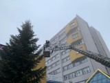 Katowice. Przed Szpitalem Klinicznym ozdabiają 10-metrową choinkę 
