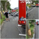 Powiat pucki: wypadek na trasie Puck - Żelistrzewo. BMW i Renault uderzyły w drzewo (21.07.2019) | ZDJĘCIA, NADMORSKA KRONIKA POLICYJNA