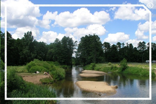 Pociągiem w Łódzkie - Bolimowski Park Krajobrazowy