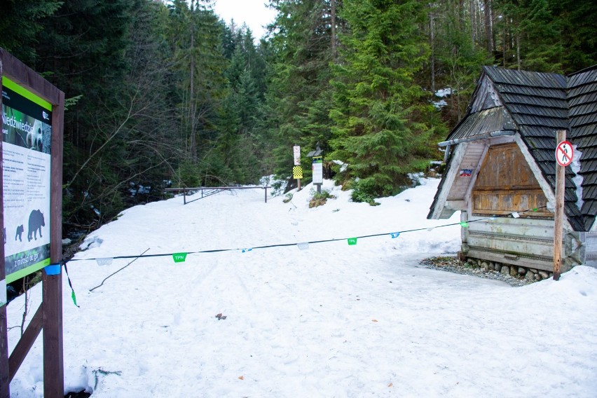 Koronawirus - Zakopane. Mimo zakazu wielu turystów wchodzi na tatrzańskie szlaki