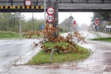 Ostrzeżenie przed silnym wiatrem w regionie          