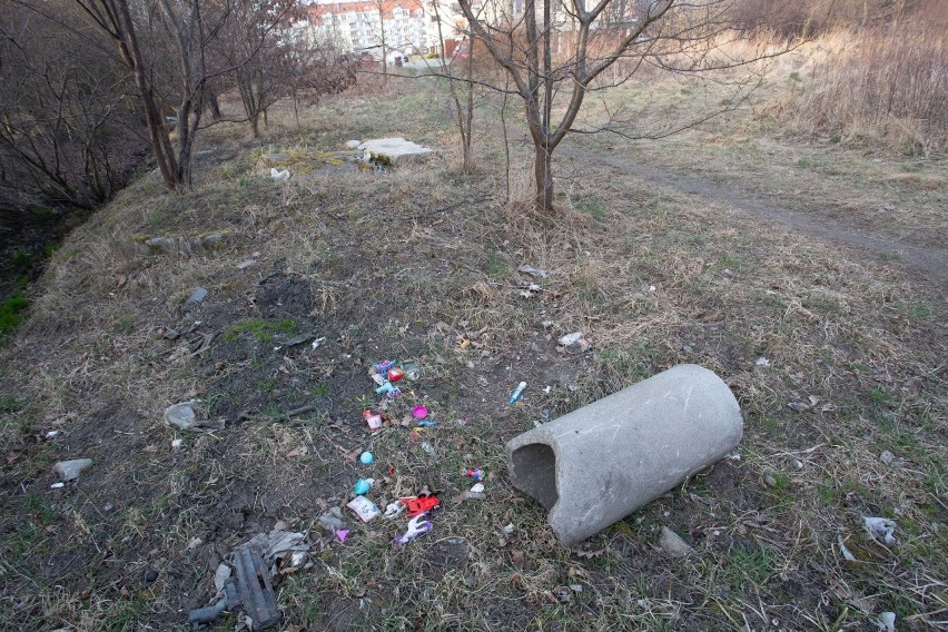 Mieszkańcy osiedla Polanowice-Poświętne-Ligota szykują się do sprzątania swojej okolicy. Mają dość zalegających pod oknami śmieci