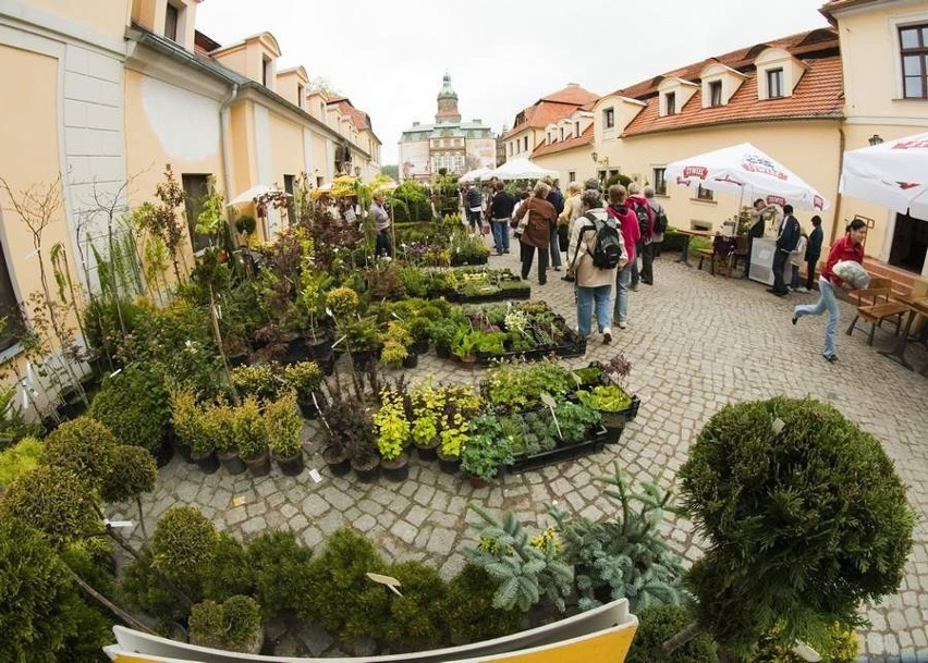 Wałbrzych: Festiwal Kwiatów I Sztuki