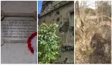 Ślady kul i zapora przeciwpancerna. Relikty drugiej wojny światowej w Wałbrzychu - mieście, gdzie nie było walk? Zobaczcie zdjęcia