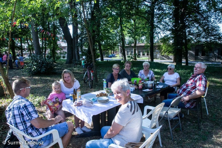 Będzie się działo na działkach! - zapowiada stargardzki magistrat. O co chodzi stargardzkim urzędnikom? O pieniądze!