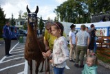 XIV Biesiada Kaszubska Dni Powiatu Kartuskiego - Festiwal Ludzie dla Ludzi ZDJĘCIA, WIDEO