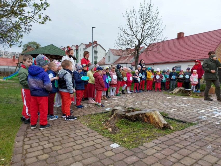 Przedszkolaki z Przedszkola nr 4 w Międzychodzie posadziły...