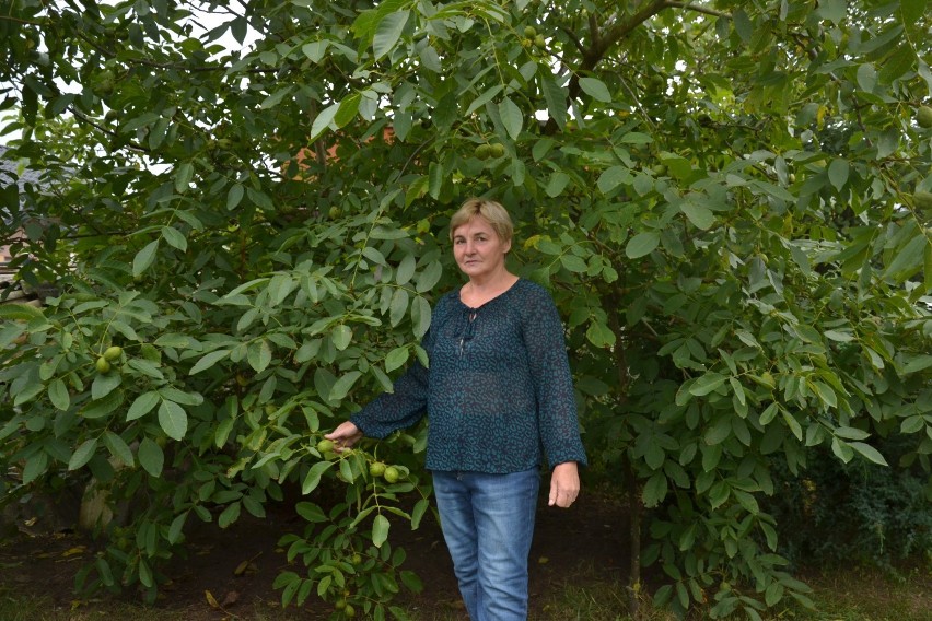 Marianna Zaborowska to radna i sołtyska z gminy Wielgie.