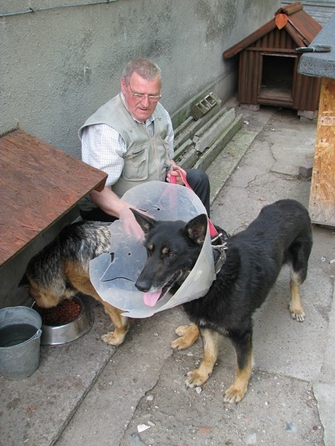 Malbork. Stowarzyszenie Reks dziękuje DPS za zaopiekowanie się bezdomnym psem