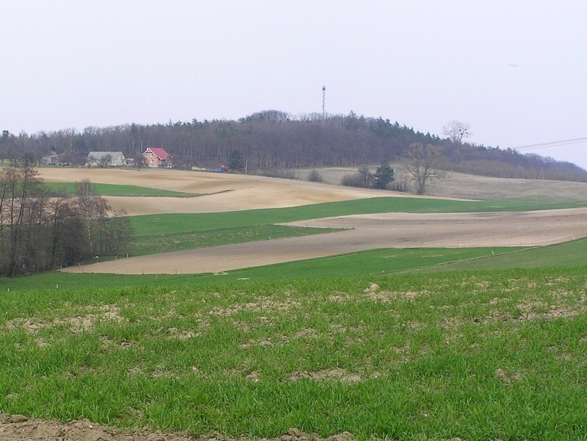 Chełmianki, zwane też to Korfantówką (161,9 m n.p.m.), to...