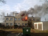 Groźny pożar w Gdyni. Strażacy z Gdyni walczyli z pożarem w Chyloni [ZDJĘCIA INTERNAUTÓW] 