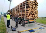 S5 Gniezno. Wiózł o o 24 tony drewna za dużo. Dostał ogromną karę pieniężną!