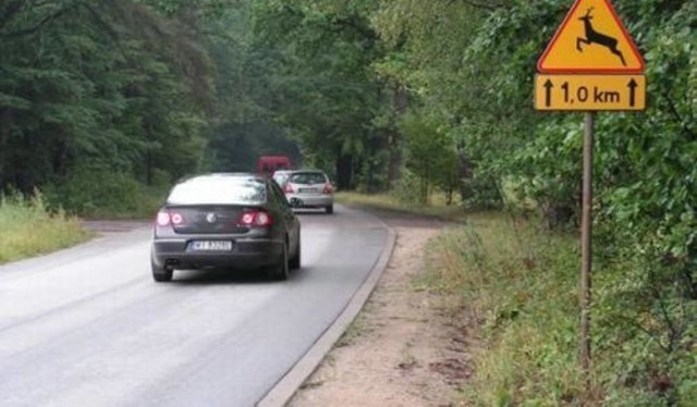 Zwierzęta ofiarami kolizji na drogach powiatu chełmińskiego