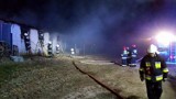 Ogromny pożar w Grucznie. 12 zastępów straży pożarnej walczyło z ogniem