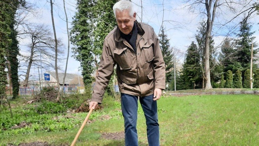 Prof. Jerzak podczas polowania na kleszcze. Zielony ręcznik...