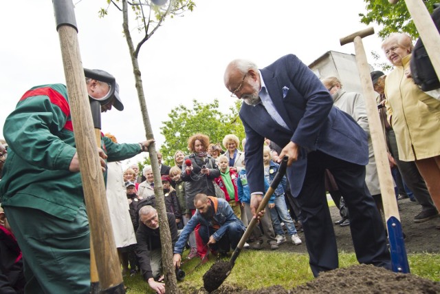 Krzysztof Penderecki w maju 2014 roku zasadził swe drzewo w Bydgoskiej Alei Dębów